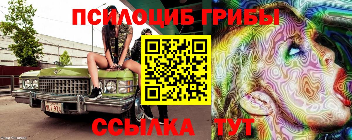 Галлюциногенные грибы Psilocybine cubensis Добрянка